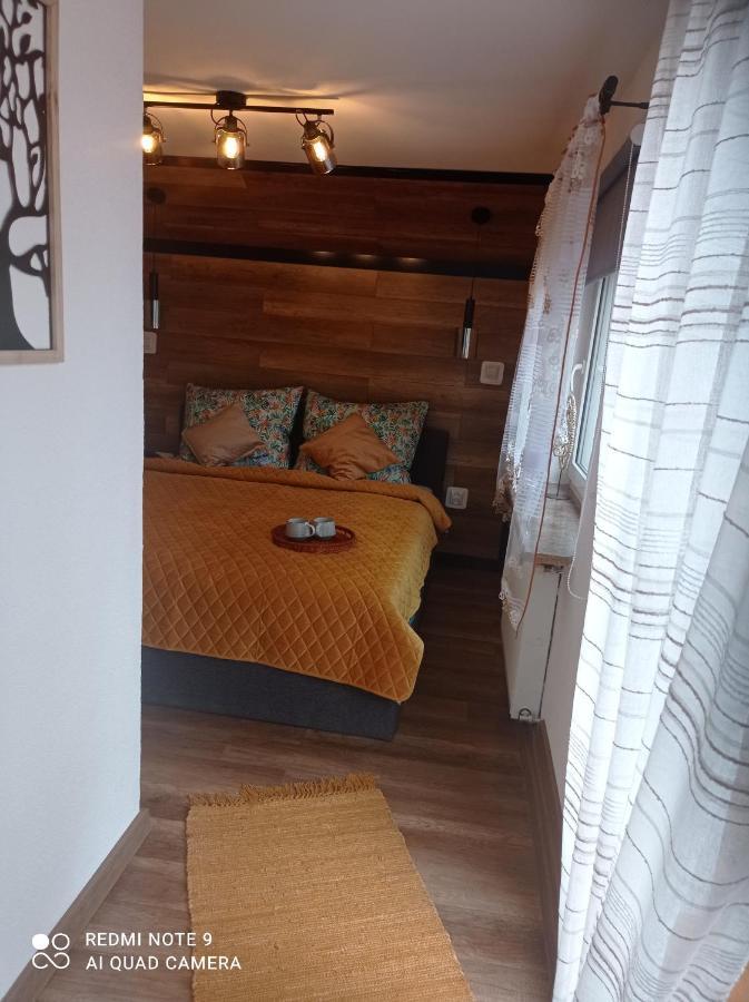 Apartamenty Sowianka Ludwikowice Kłodzkie Eksteriør billede