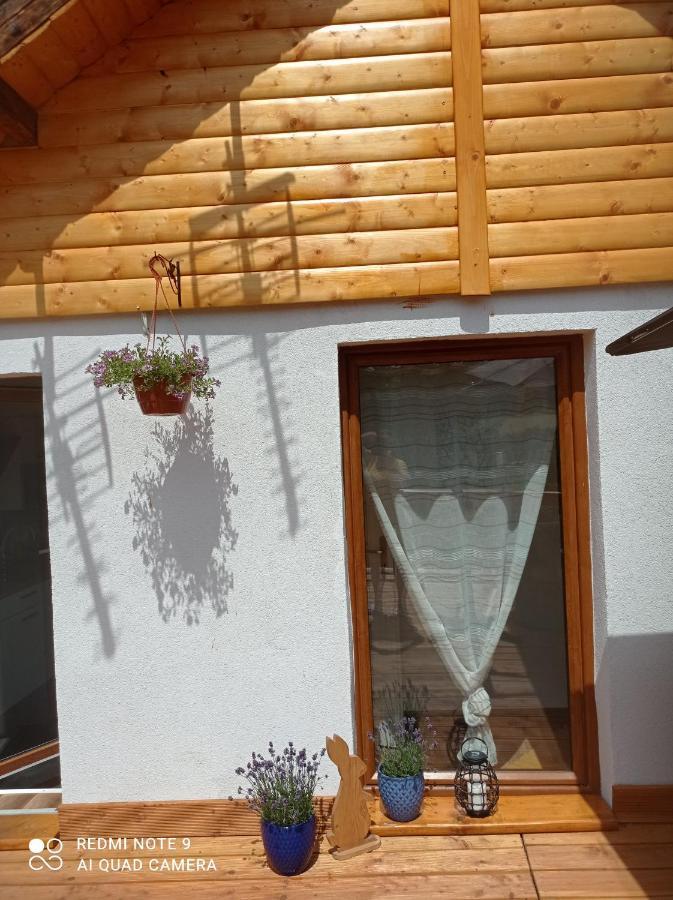 Apartamenty Sowianka Ludwikowice Kłodzkie Eksteriør billede